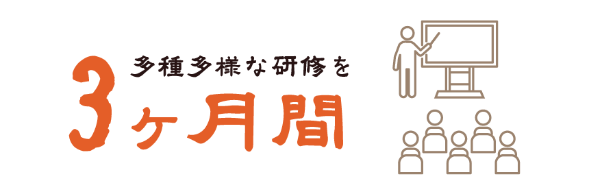 多種多様な研修を3ヶ月間）